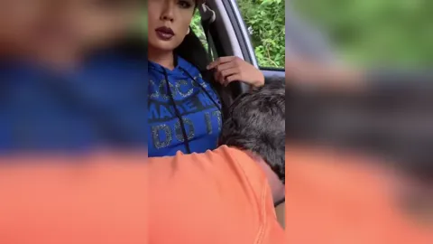 Venus lux cardrive dogging