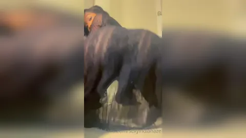 india 2