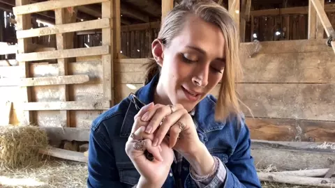 VarietyItsol in the barn