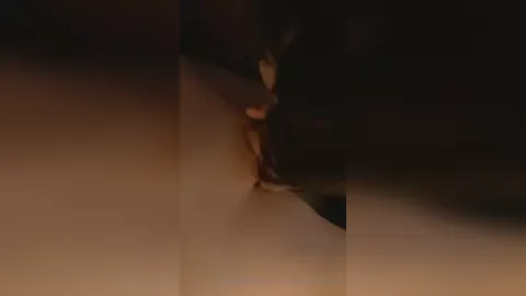 Shy Trans Big Dick Blowjob POV